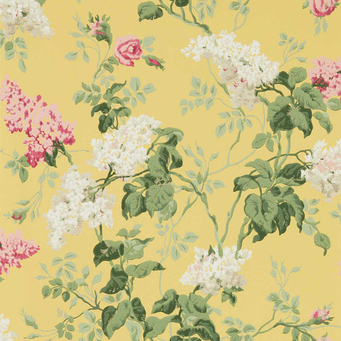 SANDERSON Etchings & Roses Wallpaper