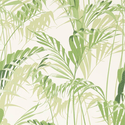 SANDERSON Palm House Wallpaper