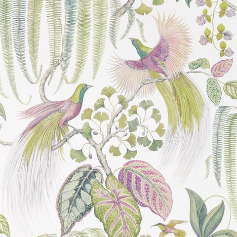 SANDERSON Bird of Paradise Wallpaper