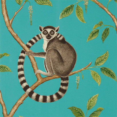 SANDERSON Ringtailed Lemur Wallpaper