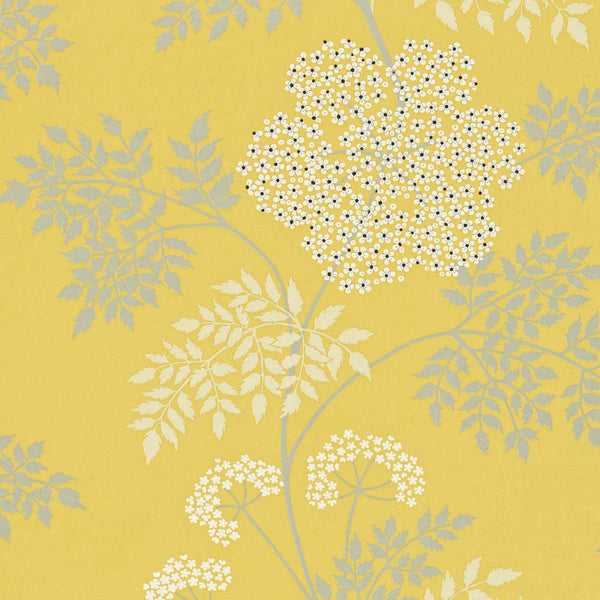 66/7051.CS Cow Parsley White/Y by Cole & Son