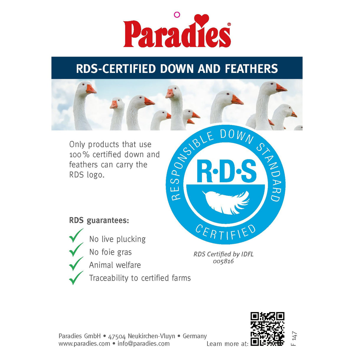 Paradies Mail Firm Organic Down And Feather Pillow