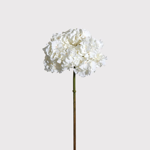 Dwell Hydrangea Elegant Floral Spray- White