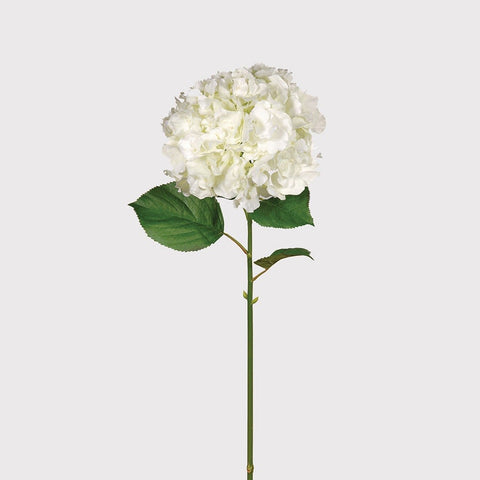 Dwell Hydrangea Large Floral Spray - White