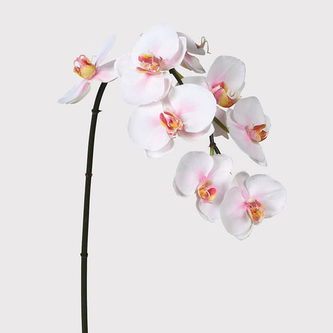 Dwell Orchid Floral Spray- White And Pink