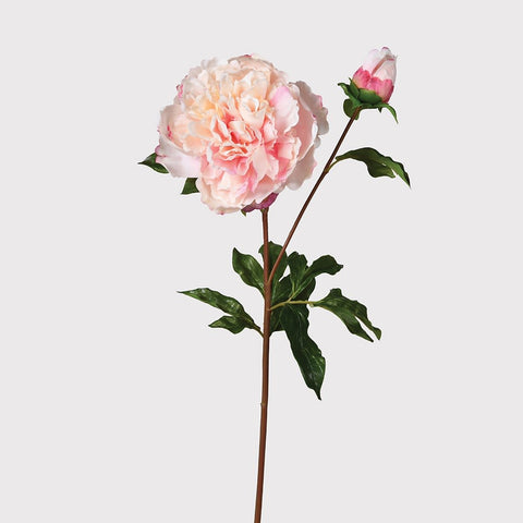 Dwell Real Feel Peony With Bud Floral Spray