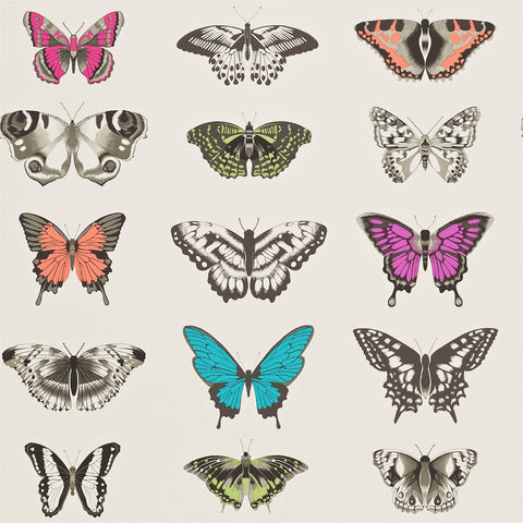 HARLEQUIN Papilio Wallpaper