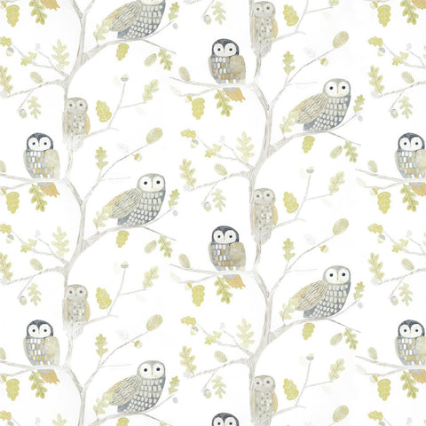 HARLEQUIN Little Owls Wallpaper