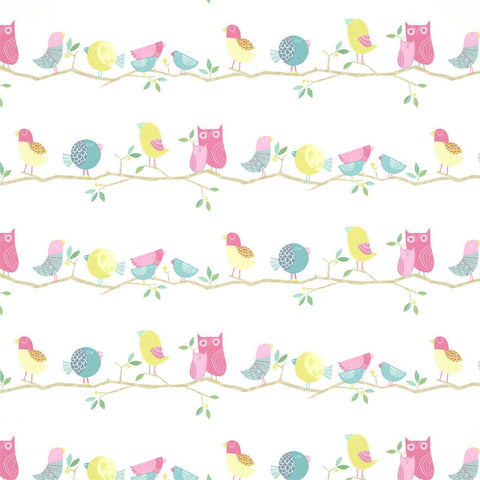 HARLEQUIN What a Hoot Wallpapers 70515 What a Hoot Wallpaper