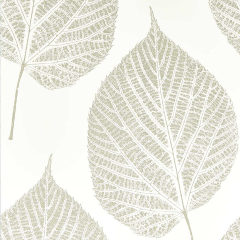 HARLEQUIN Leaf Wallpaper