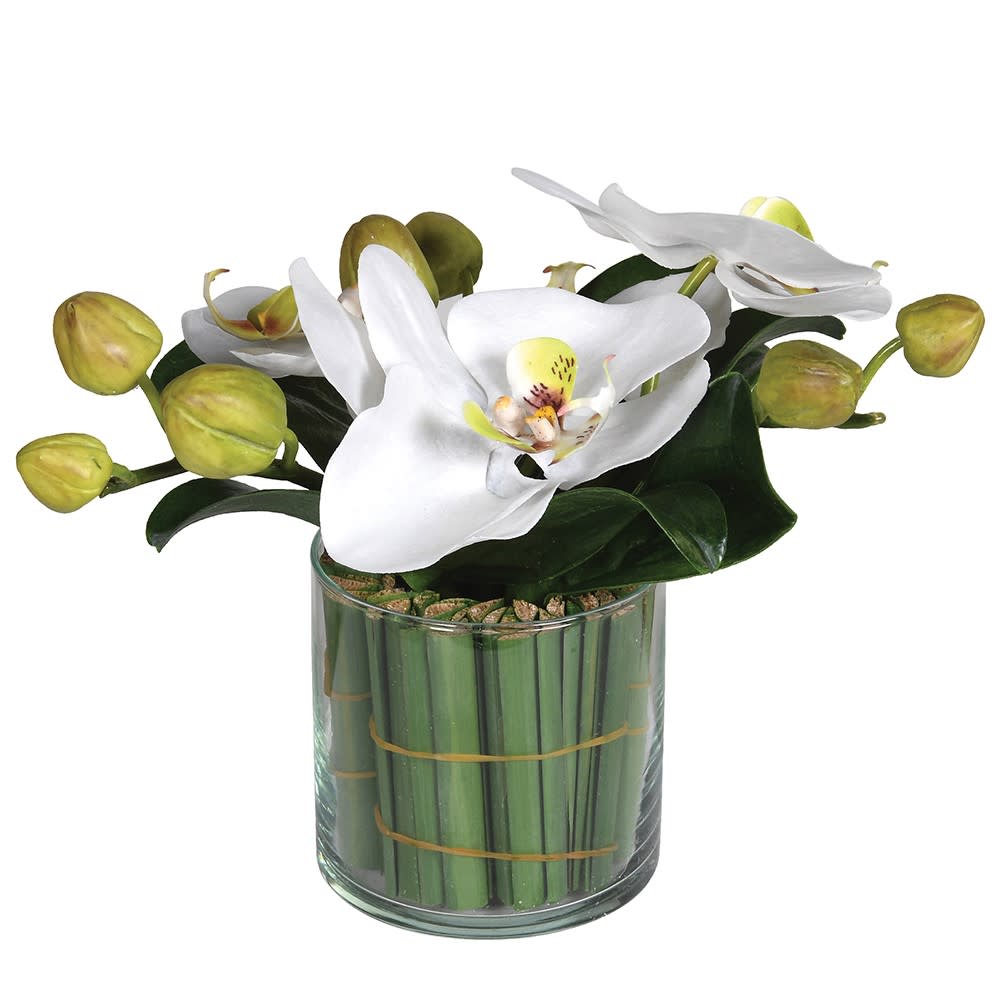 Dwell Orchid In Glass - White